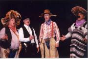 perform buffalo chips1